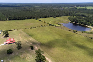 400+ Acre Pineywoods Ranch